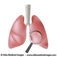 Healthcare icon (lung), medical drawing.