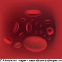 Blood flow in vessel, medical drawing.