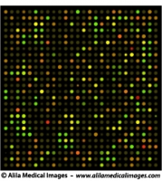 DNA microarrays chip, medical drawing.
